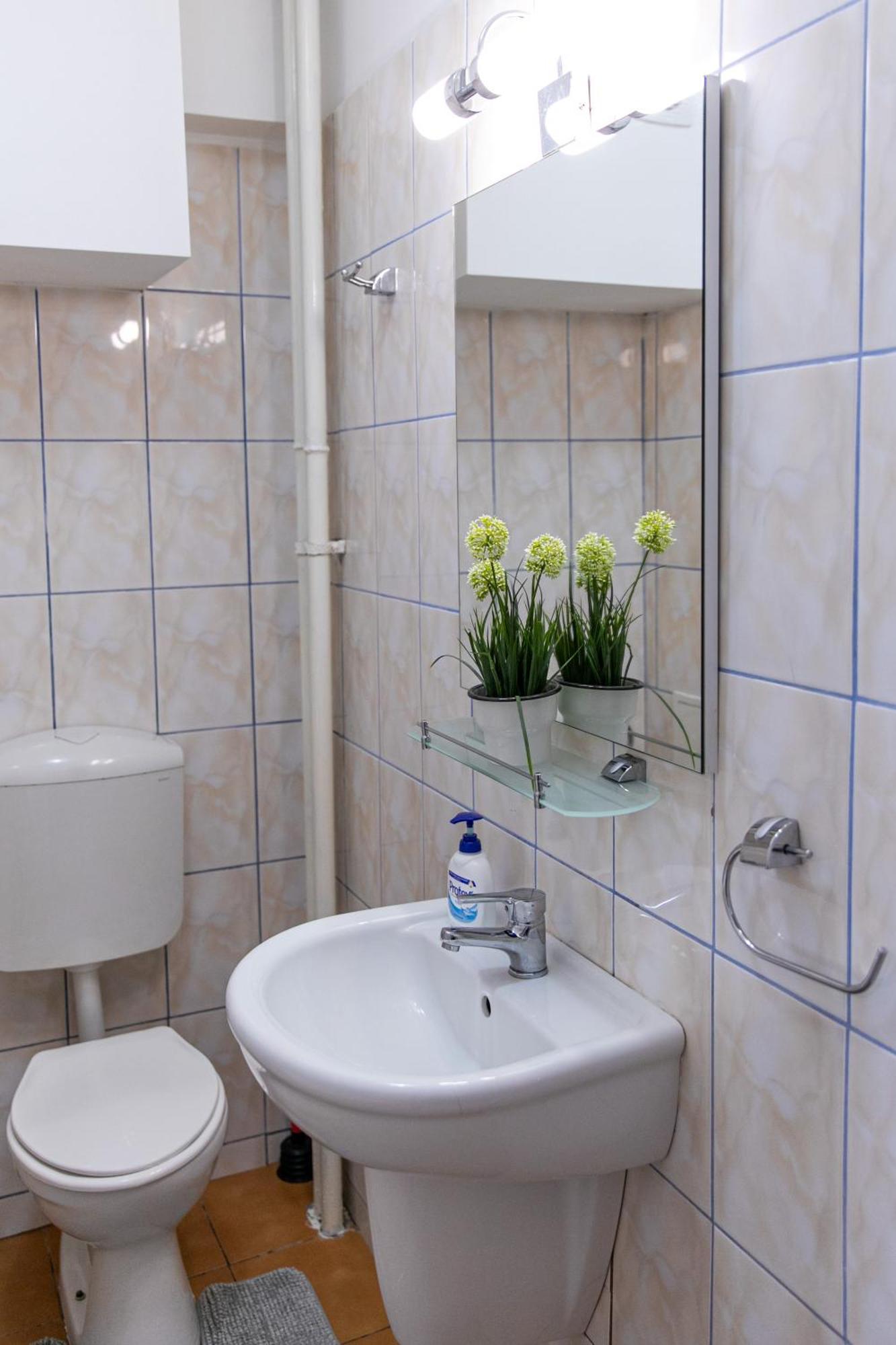 Color Apartment Regina Elisabeta 23 Bucarest Esterno foto